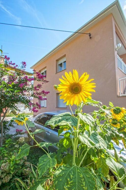 Apartman Nena 크리크베니카 외부 사진
